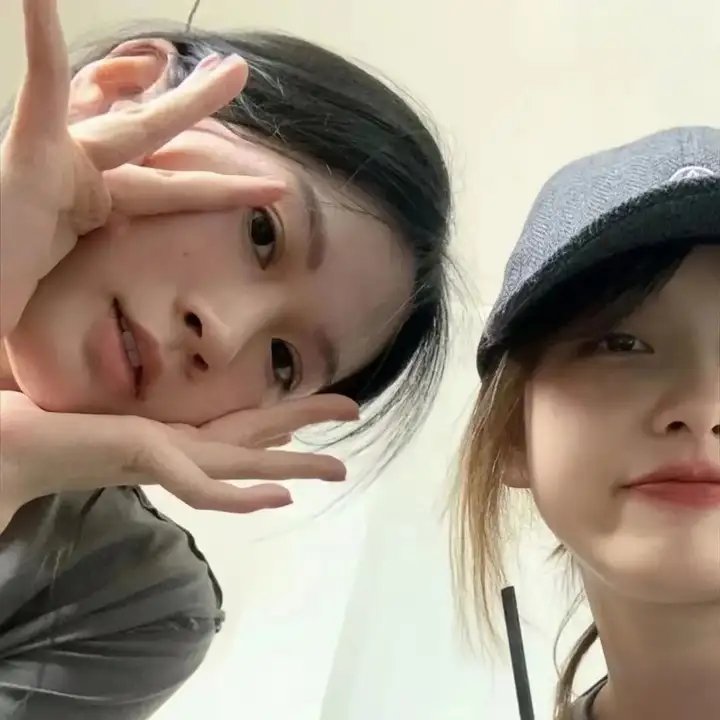 折翼鸟